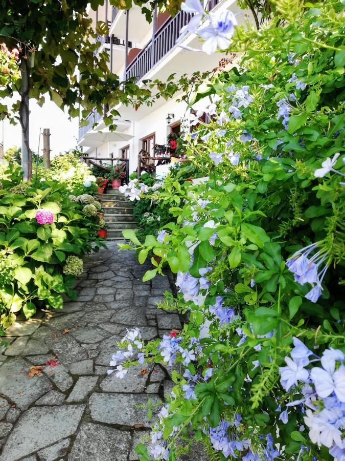 Hotel Erato Хорефто Екстериор снимка