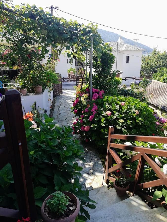 Hotel Erato Хорефто Екстериор снимка