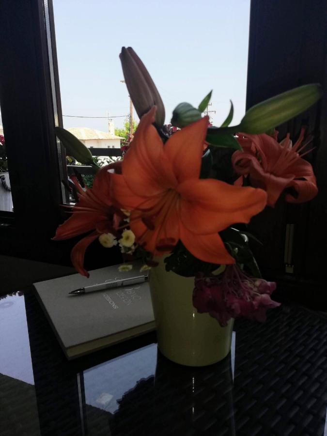 Hotel Erato Хорефто Екстериор снимка